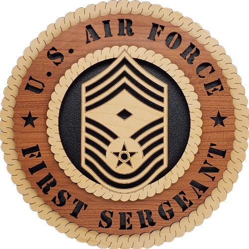 U.S. AIR FORCE 1ST SERGEANT