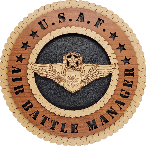U.S. AIR FORCE AIR BATTLE MANAGER L9