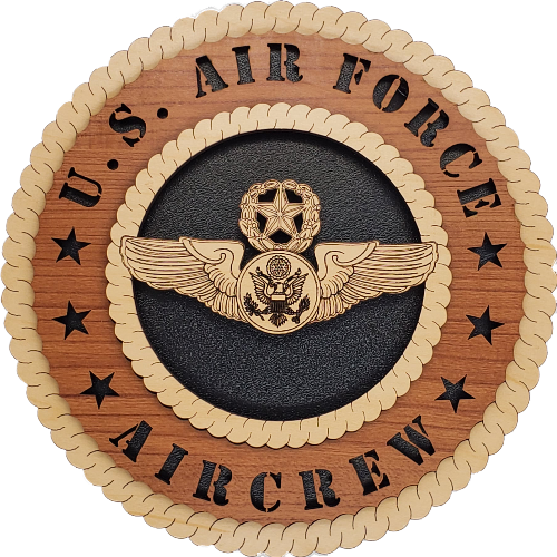 U.S. AIR FORCE AIRCREW L9