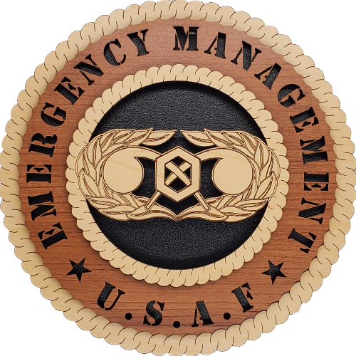 U.S. AIR FORCE EMERGENCY MANAGEMENT L5