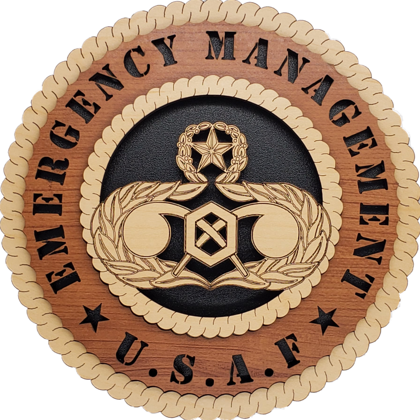 U.S. AIR FORCE EMERGENCY MANAGEMENT L9