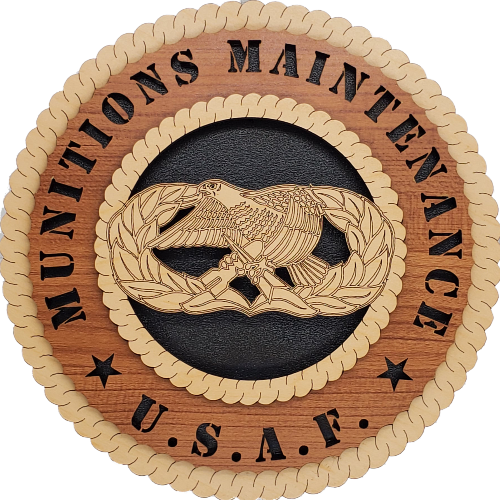 U.S. AIR FORCE MUNIITONS MANITENANCE L5