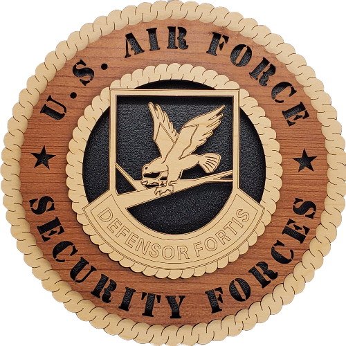 U.S. AIR FORCE SF DEFENSOR FORTIS