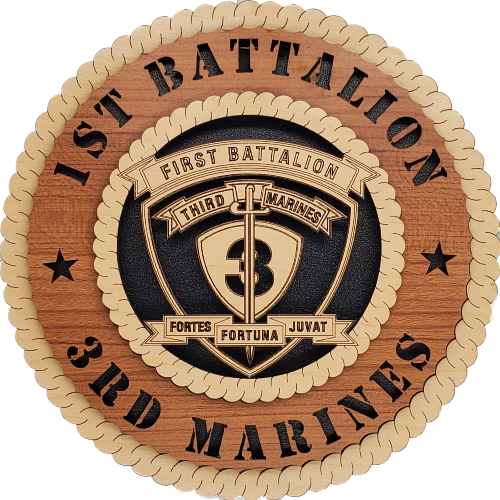 U.S. MARINES 1ST BATTALION 3RD MARINES
