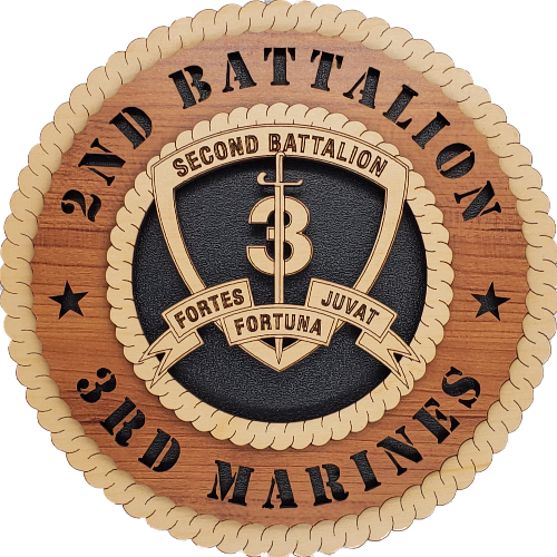 U.S. MARINES 2ND BATTALION 3RD MARINES