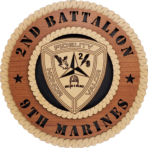 U.S. MARINES 2ND BATTALION 9TH MARINES