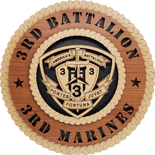 U.S. MARINES 3RD BATTALION 3RD MARINES