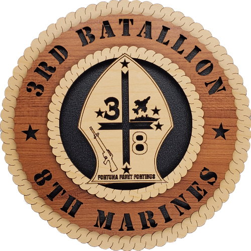 U.S. MARINES 3RD BATTALION 8TH MARINES