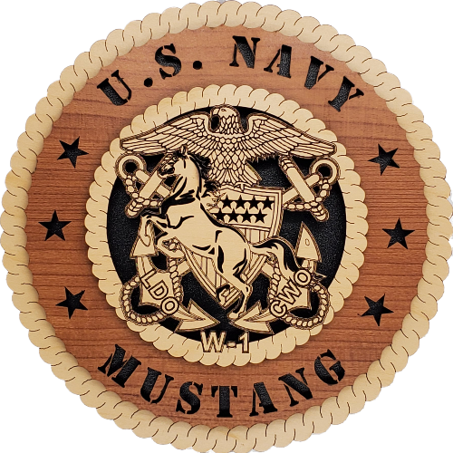 U.S. NAVY WARRANT OFFICER 1