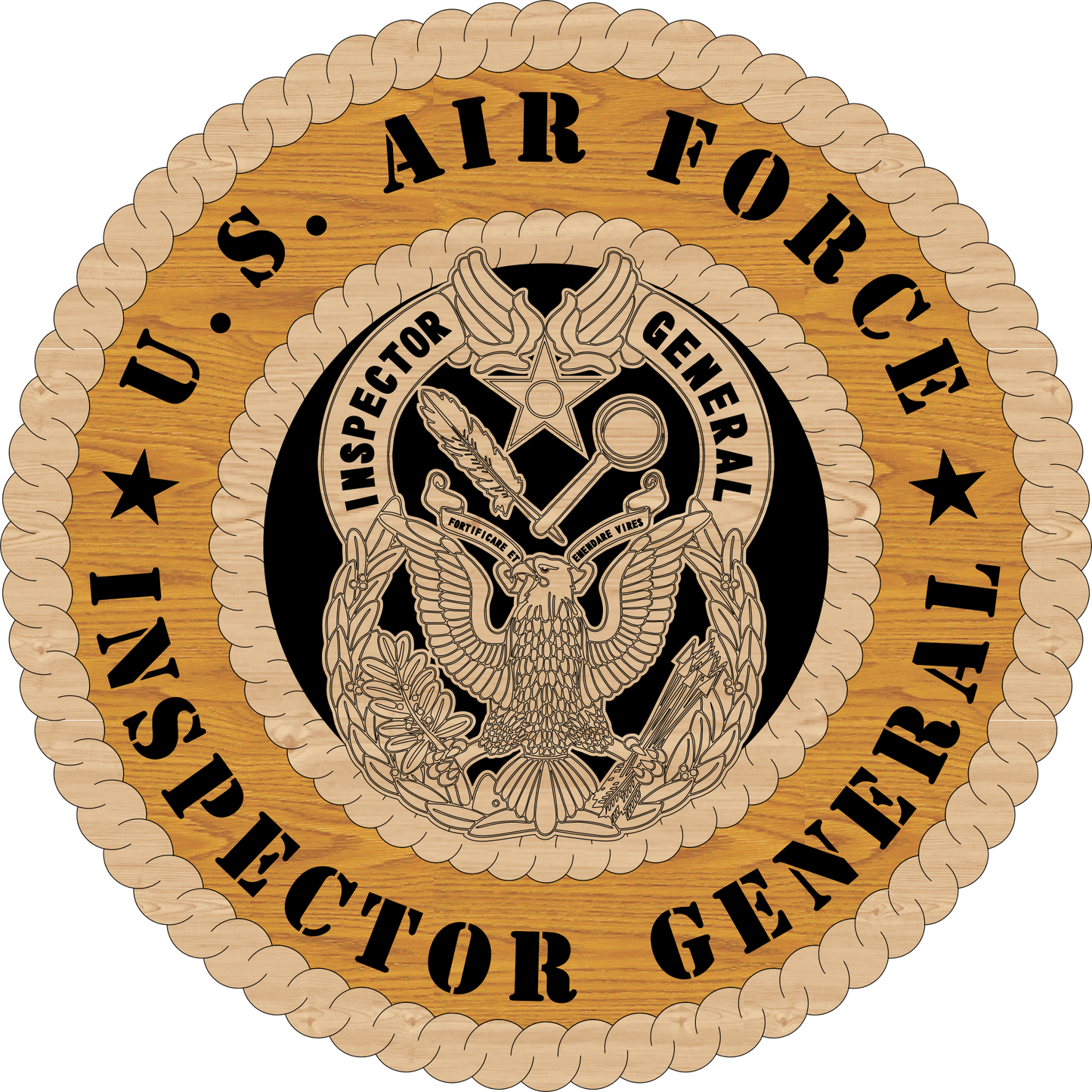US AIR FORCE INSPECTOR GENERAL