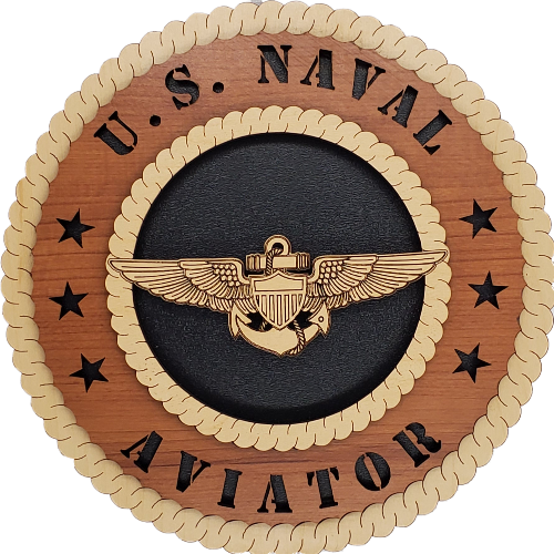 US NAVAL AVIATOR