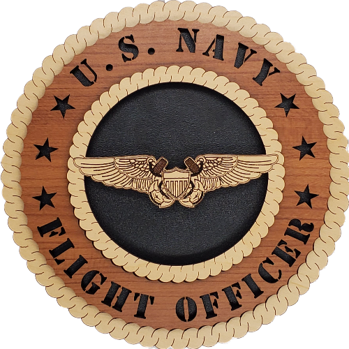 US NAVAL FLIGHT OFFICER