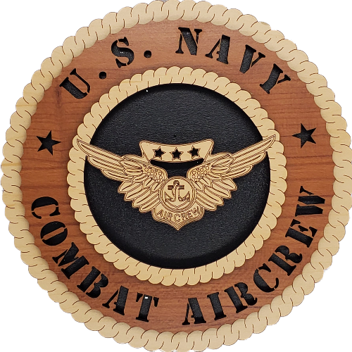 US NAVY COMBAT AIR CREW