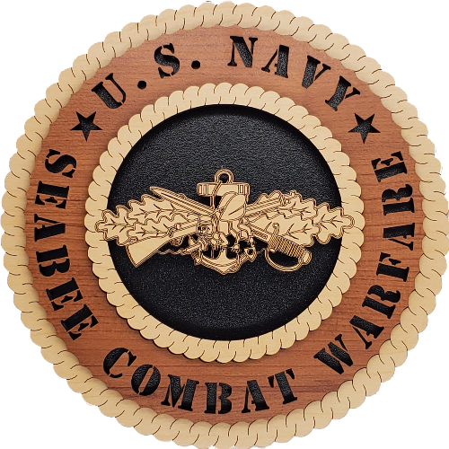 US NAVY SEABEE COMBAT WARFARE