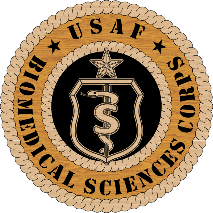 U.S. AIR FORCE BIOMEDICAL CORPS LV7