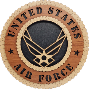 NEW U.S. AIR FORCE