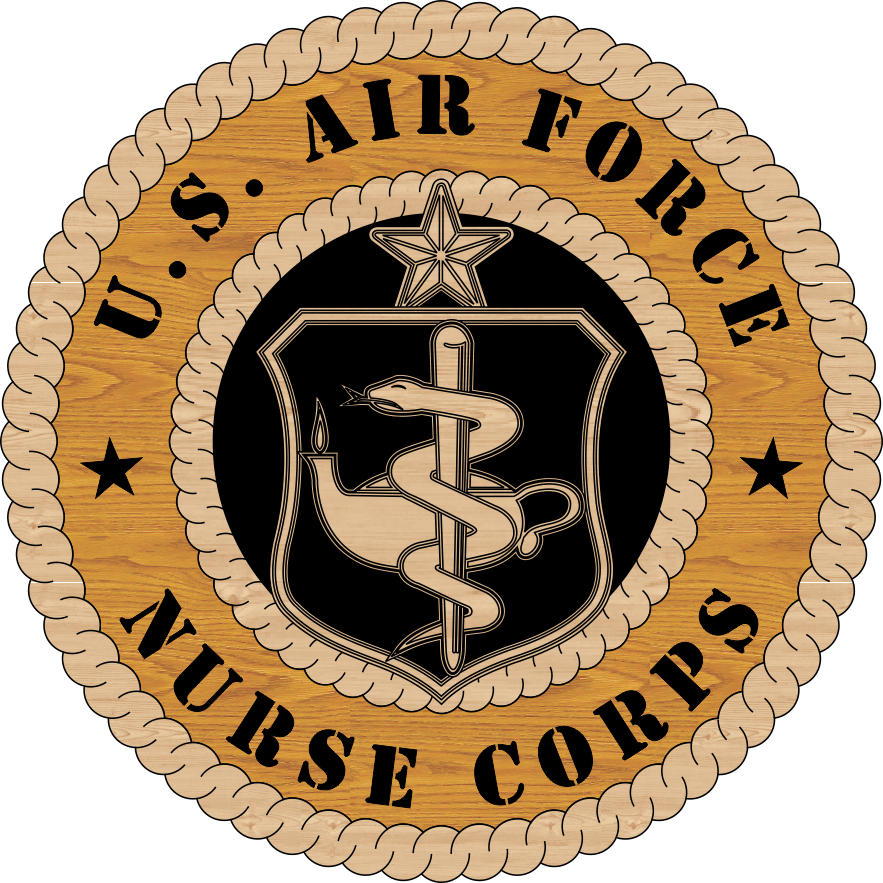 U.S. AIR FORCE NURSE CORPS LV7