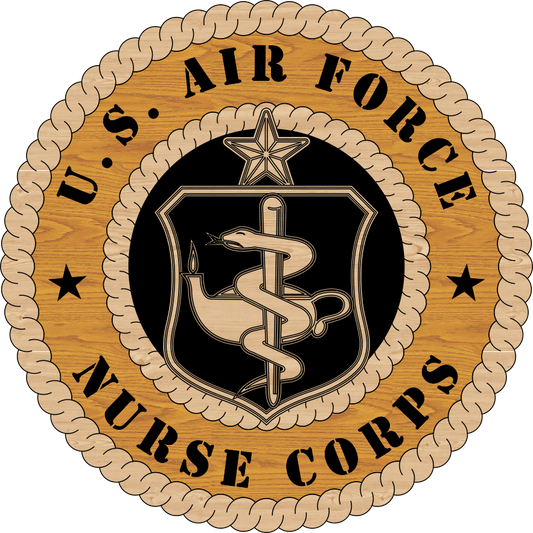 U.S. AIR FORCE NURSE CORPS LV7