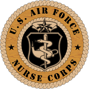 U.S. AIR FORCE NURSE CORPS LV9