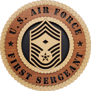 U.S. AIR FORCE 1ST SERGEANT