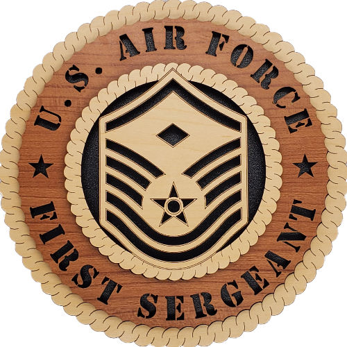 U.S. AIR FORCE 1ST SERGEANT