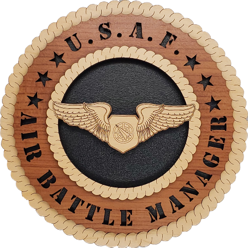 U.S. AIR FORCE AIR BATTLE MANAGER L5