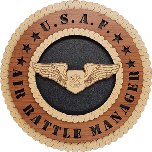 U.S. AIR FORCE AIR BATTLE MANAGER L5