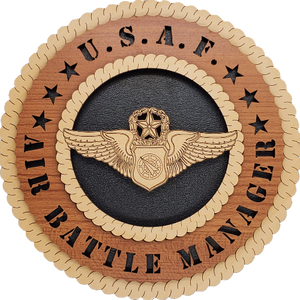 U.S. AIR FORCE AIR BATTLE MANAGER L9
