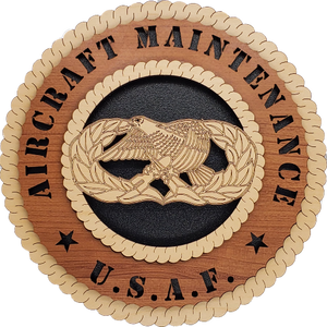U.S. AIR FORCE AIRCRAFT MAINTENANCE L5
