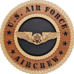 U.S. AIR FORCE AIRCREW L5