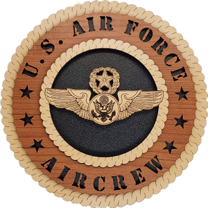 U.S. AIR FORCE AIRCREW L9
