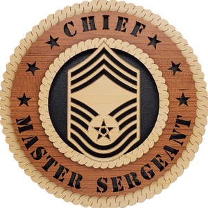 U.S. AIR FORCE CHIEF MASTER SERGEANT