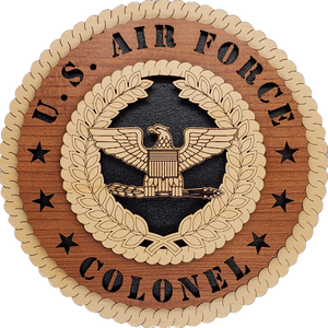 U.S. AIR FORCE COLONEL