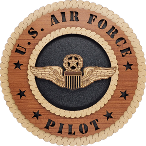 U.S. AIR FORCE COMMAND PILOT