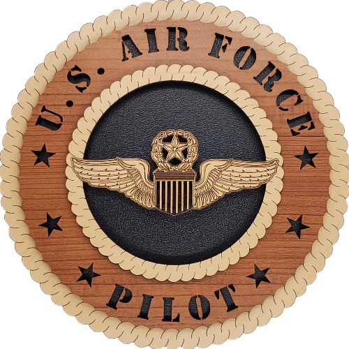 U.S. AIR FORCE COMMAND PILOT
