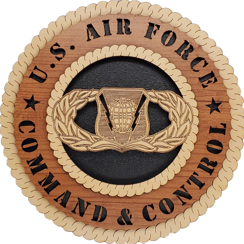 U.S. AIR FORCE COMMAND & CONTROL L5