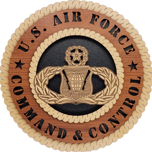 U.S. AIR FORCE COMMAND & CONTROL L9