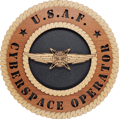 U.S. AIR FORCE CYBERSPACE OPERATOR 1