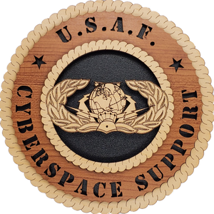 U.S. AIR FORCE CYBERSPACE SUPPORT L5