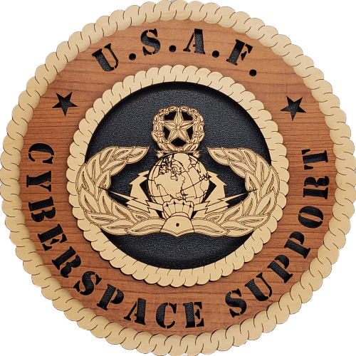 U.S. AIR FORCE CYBERSPACE SUPPORT L9