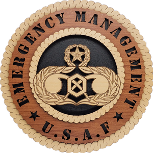 U.S. AIR FORCE EMERGENCY MANAGEMENT L9