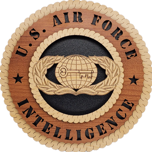 U.S. AIR FORCE INTELLIGENCE L5