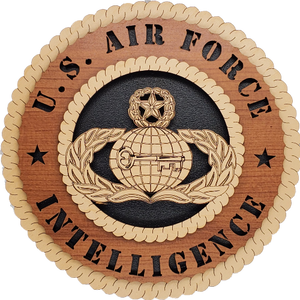 U.S. AIR FORCE INTELLIGENCE L9