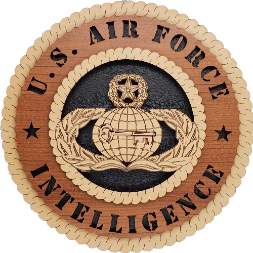 U.S. AIR FORCE INTELLIGENCE L9