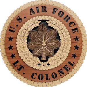 U.S. AIR FORCE LT COLONEL