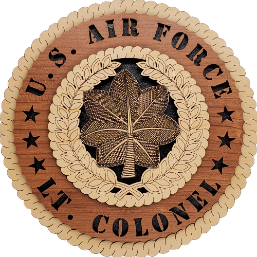 U.S. AIR FORCE LT COLONEL