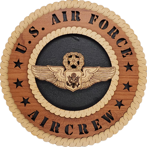 U.S. AIR FORCE MASTER OFFICER AIRCREW