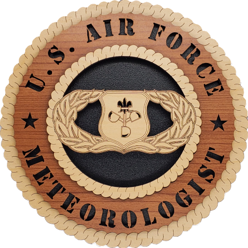 U.S. AIR FORCE METEOROLOGIST L5