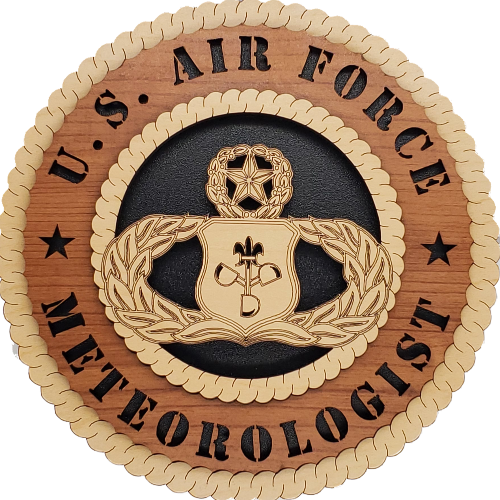 U.S. AIR FORCE METEOROLOGIST L9