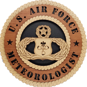 U.S. AIR FORCE METEOROLOGIST L9